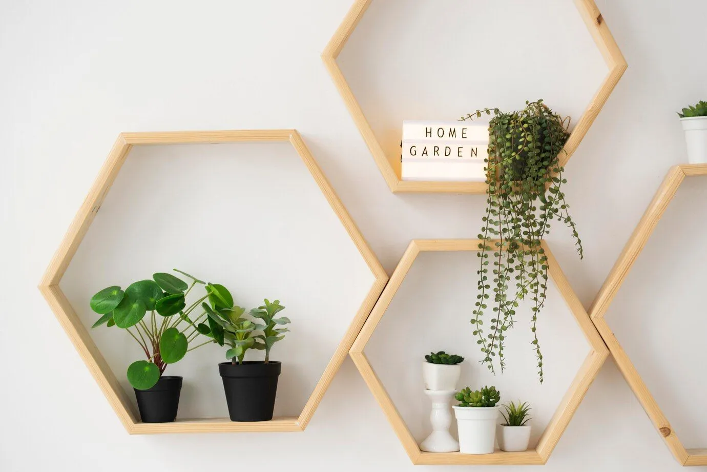 Ocala Hanging Shelves